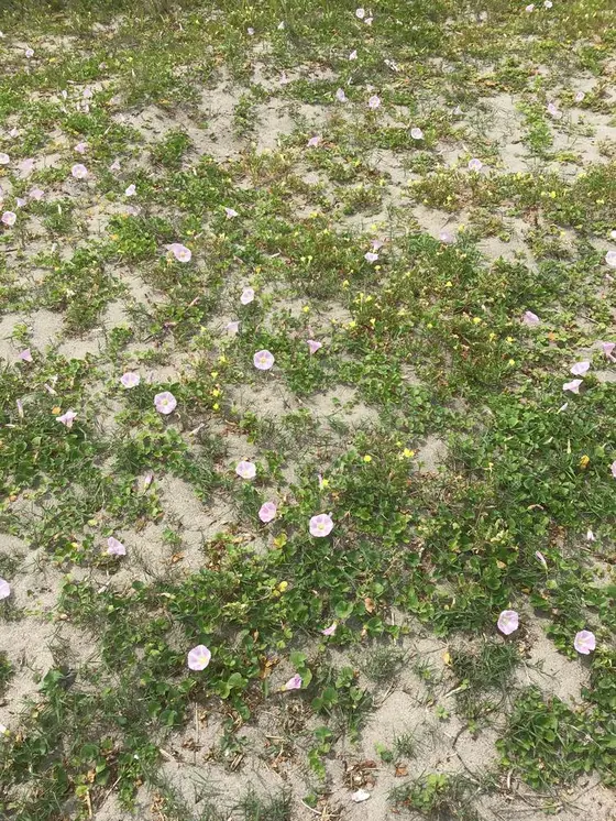海沿いを散歩♪