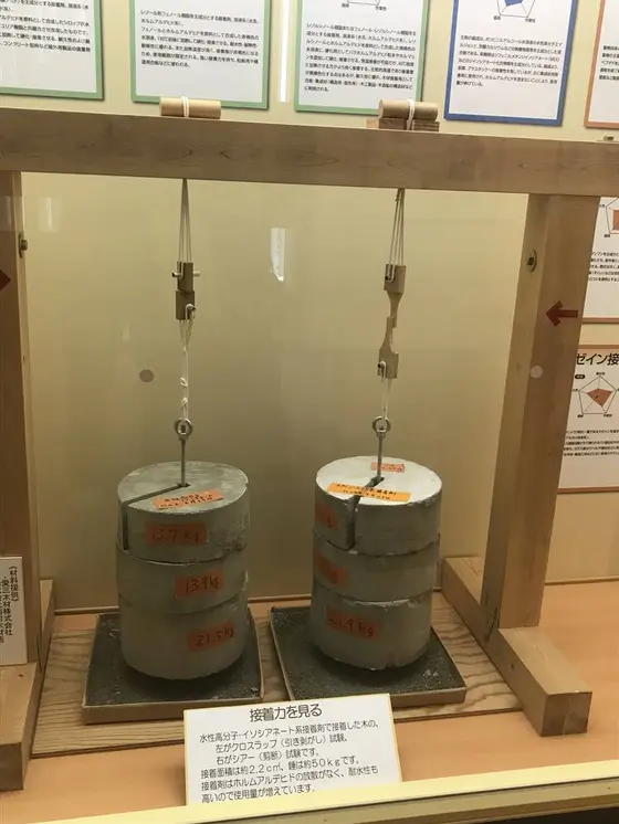 接着力を見る。