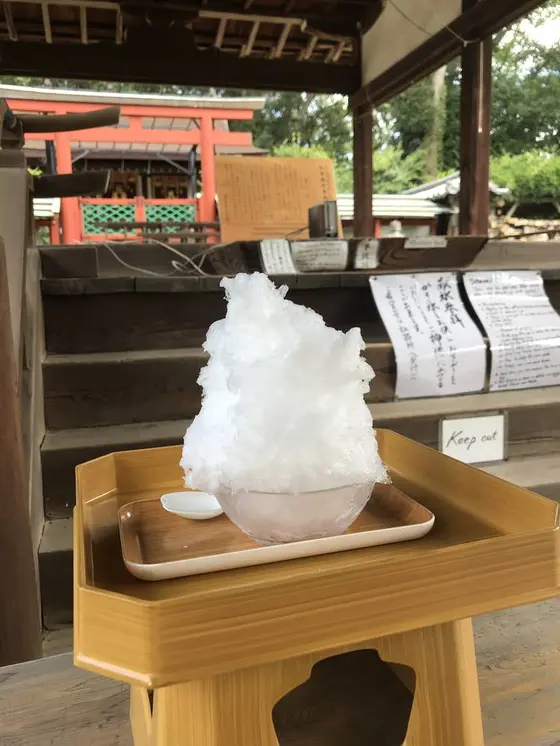 献氷