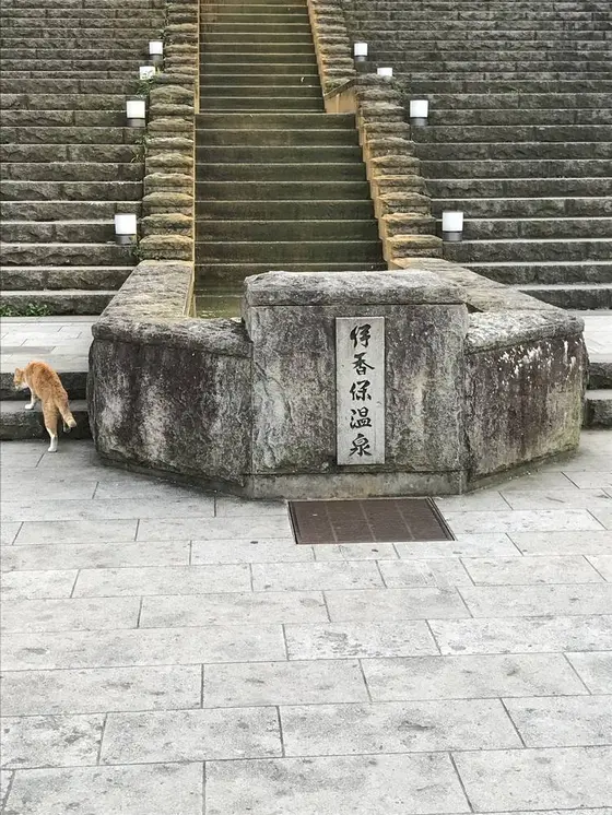 正面入り口