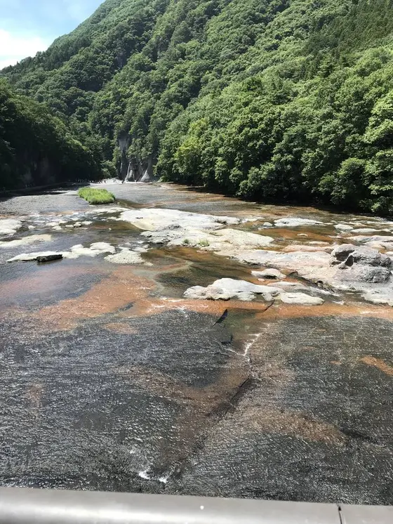 河川敷