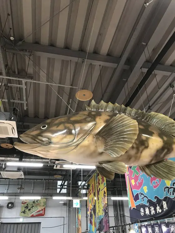 魚の剥製