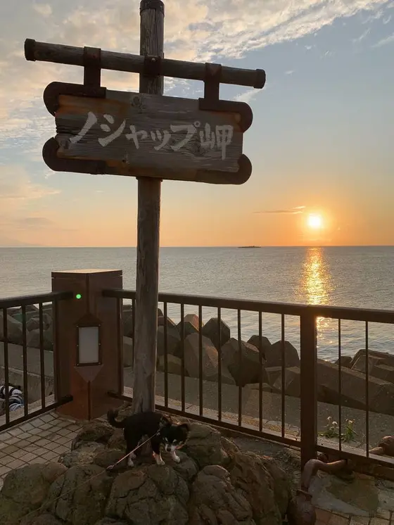 ノシャップ岬