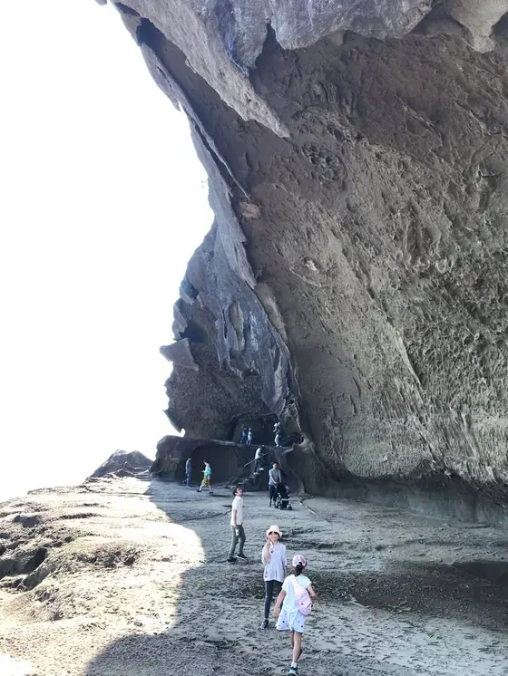 自然ってすごい