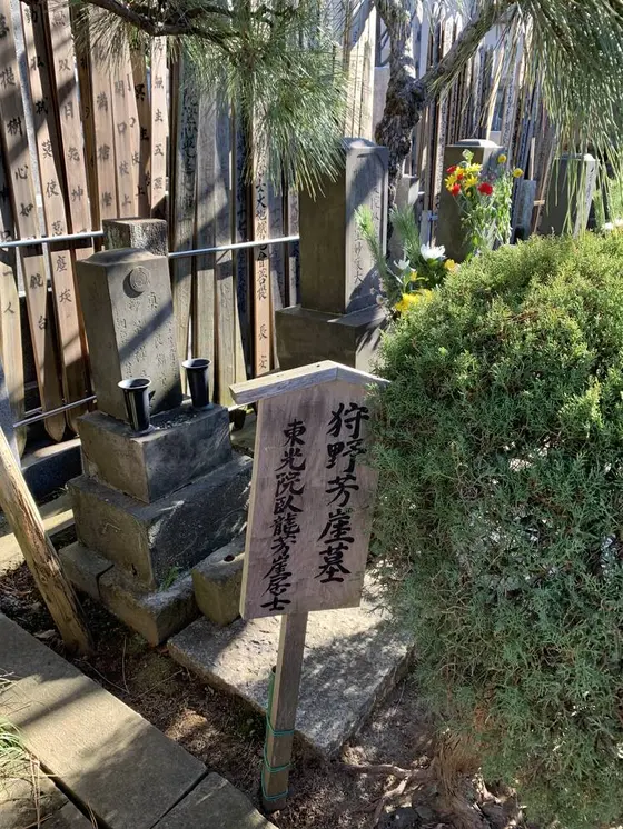 スポット内のおすすめ