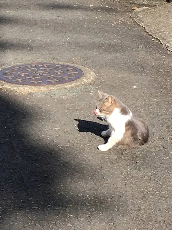 龍馬のぶーつ像の帰りに