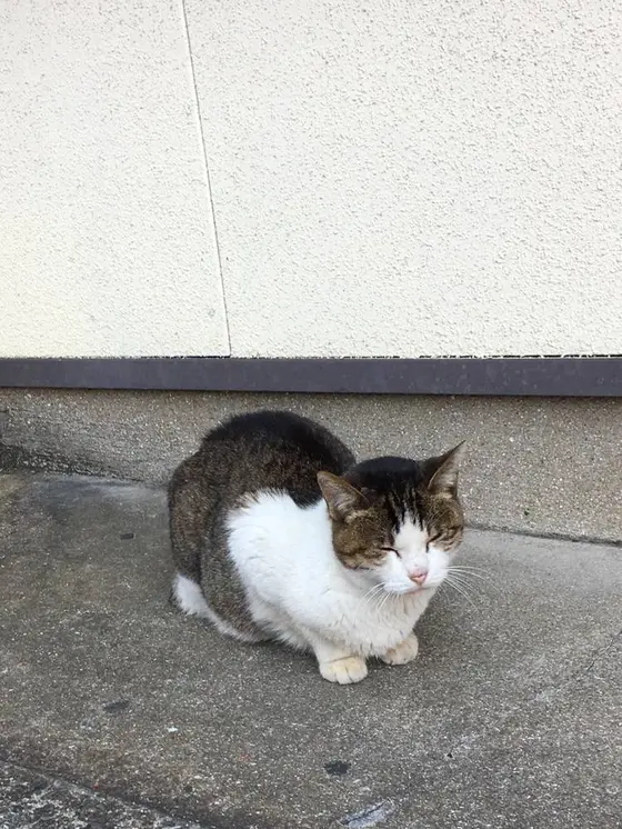 中華街で出会った