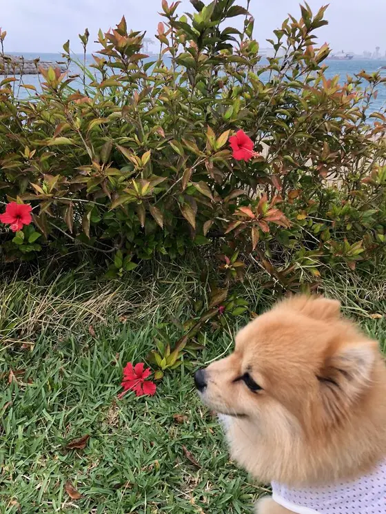 やっと一息