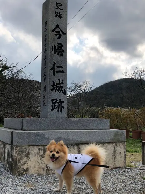 入り口ですっ