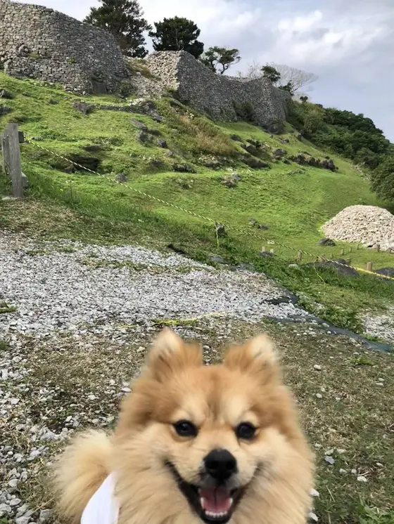 頂上