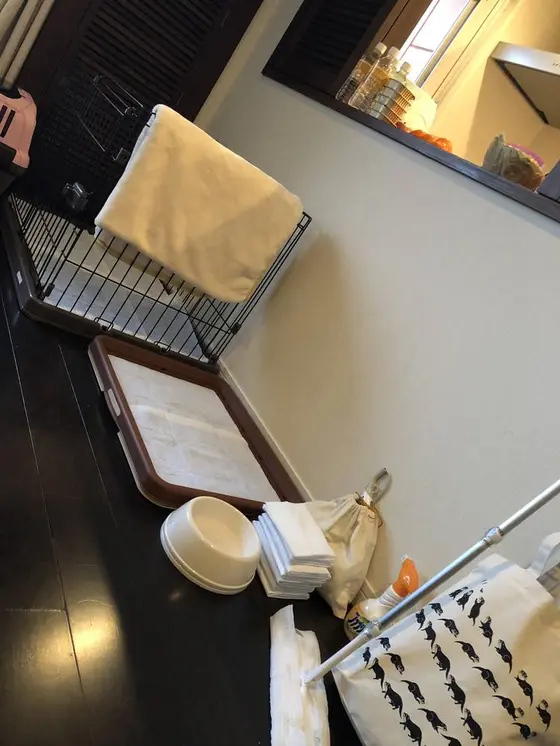 ﾜﾝｺの為の装備