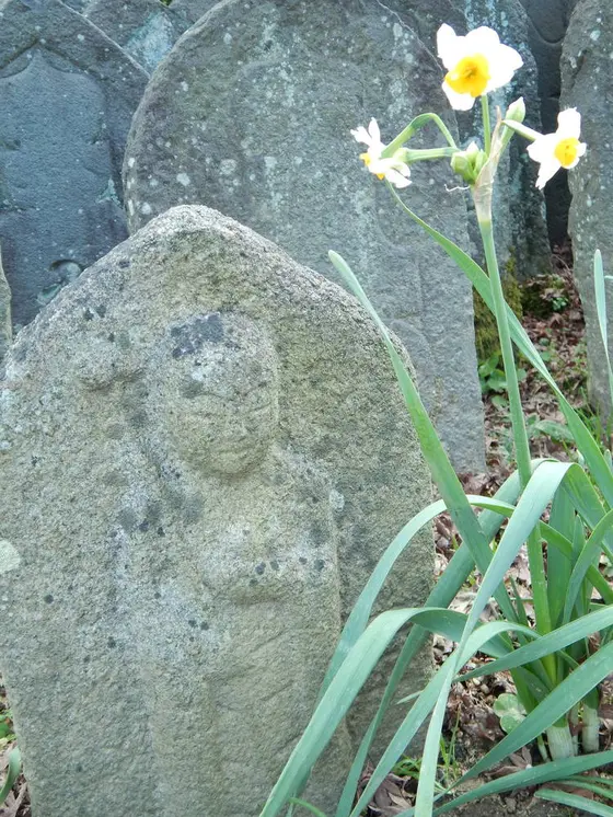 石仏と水仙