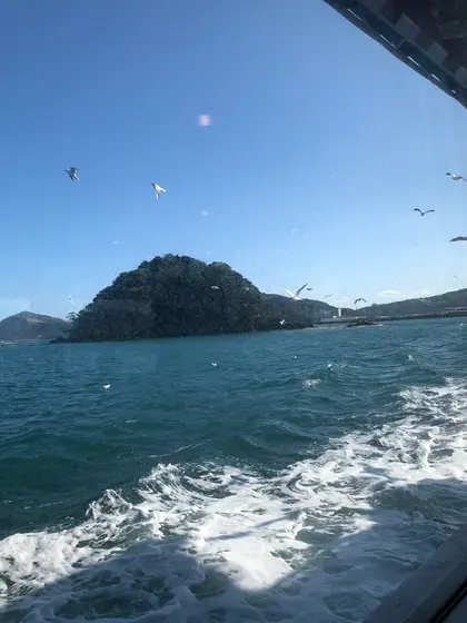 ちょと揺れた