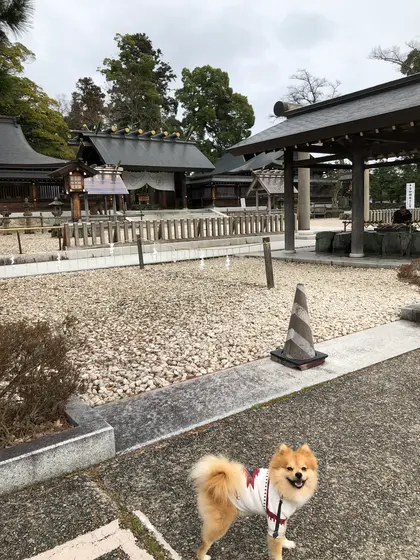 裏伊勢さんの駐車場に停めると便利
