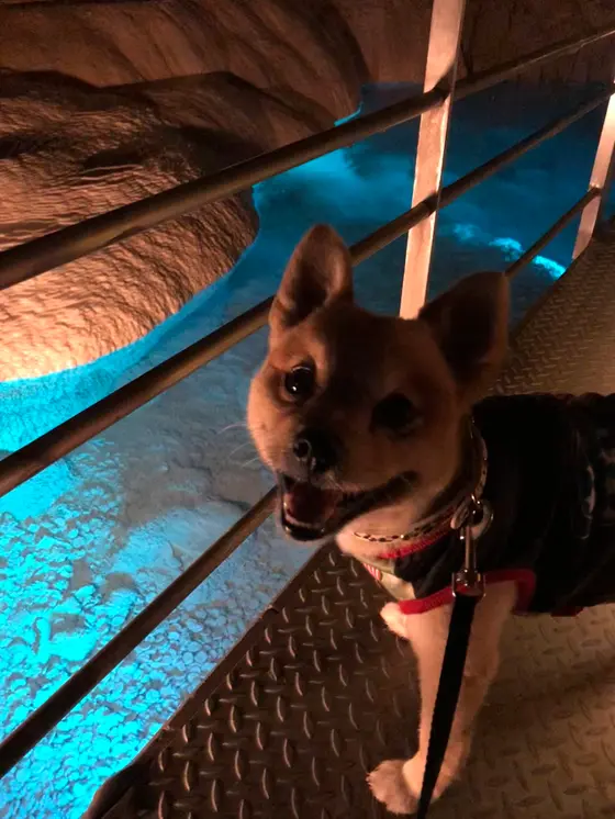 青ぃのはライトですっwww