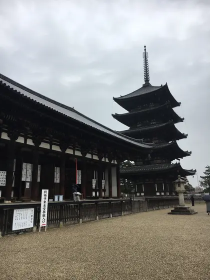 東金堂と五重の塔。