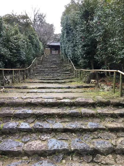 門が見えた。