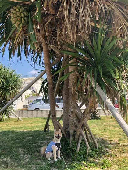 周りは公園でォ散歩も楽し🎵