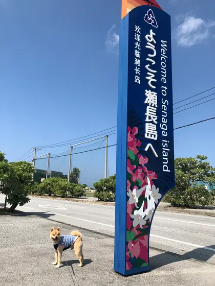 瀬長島への入口