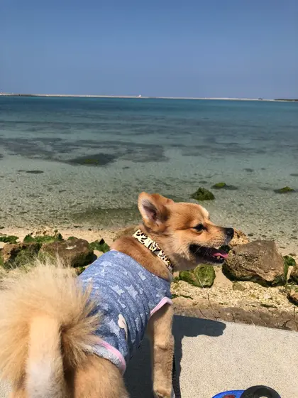 周りは見渡す限り綺麗な海