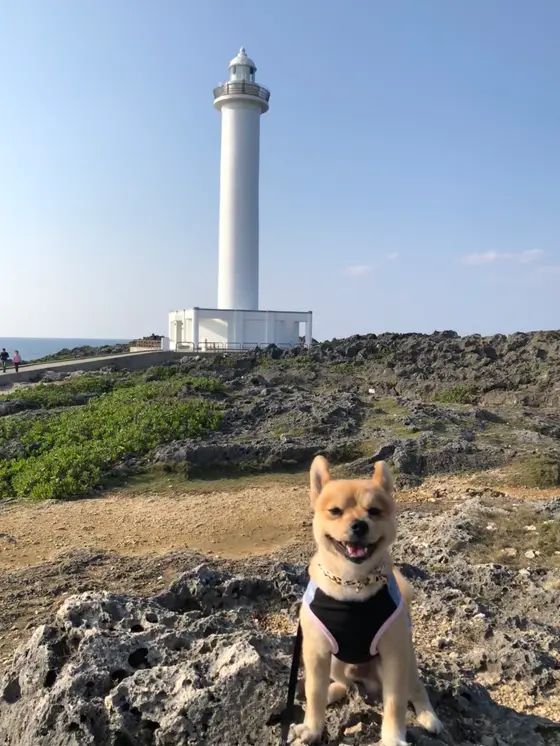 バックには残波岬灯台