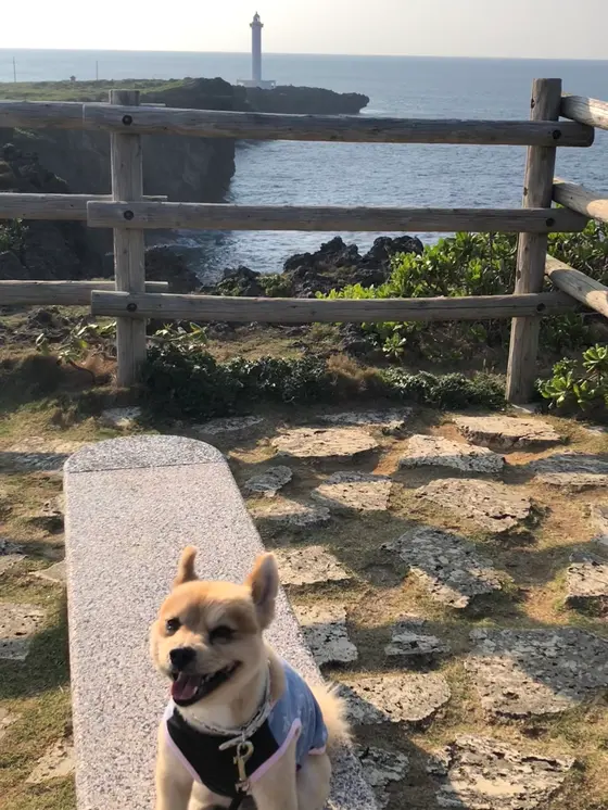 ォ散歩をして行くと潮吹穴P