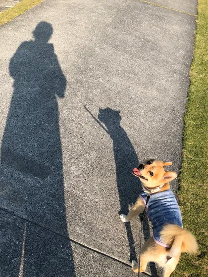 遊歩道が長くって気持ちぃぃですっ