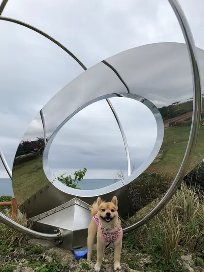 なんかのォブジェ