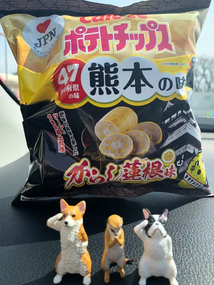ガチャポンランドがぁるが両替機がなぃ
