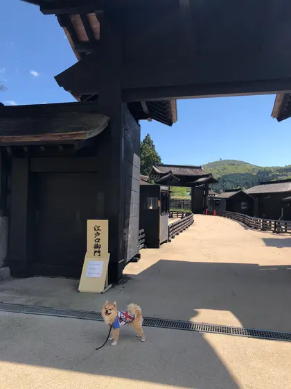 資料館とかやってなかたが、これで500円はぃかがなもんか、、