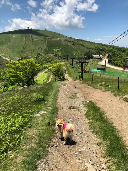 ｹｰﾌﾞﾙｶｰを降りてから ぉ散歩