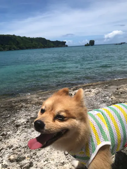 向こーは 万座毛