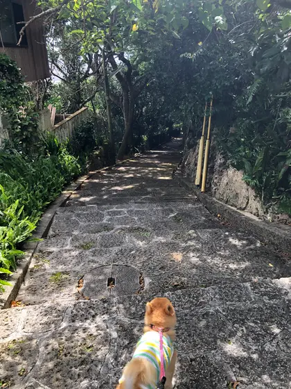 ゴール