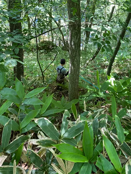 沢に降りる