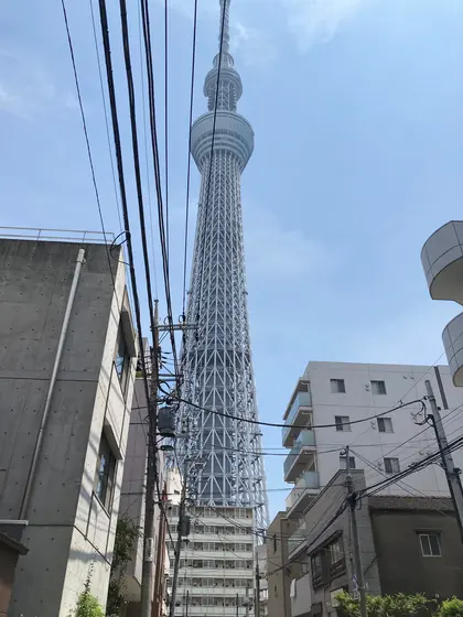 近づいたー！
