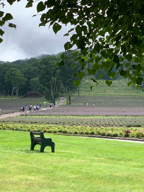 スポット内のおすすめ