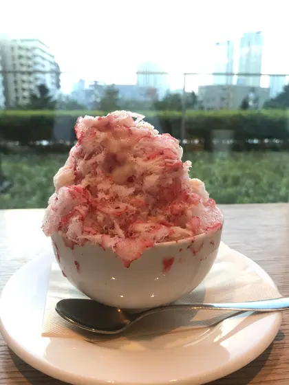 スポット内のおすすめ
