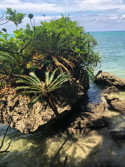 パワースポット