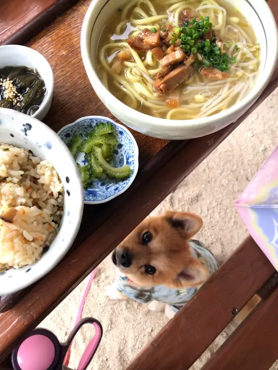 八重山そばとジューシー定食
