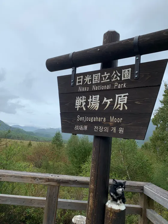 戦場ヶ原展望台