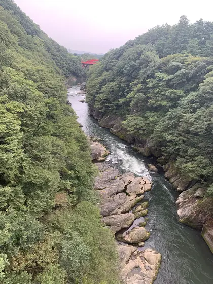 橋からの景色
