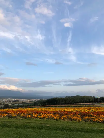 やはり綺麗