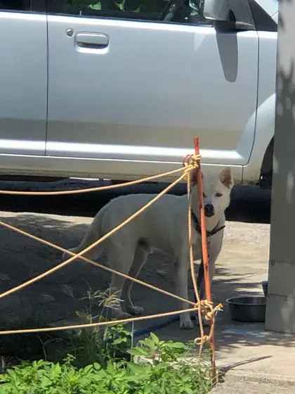 ルンルンちゃん