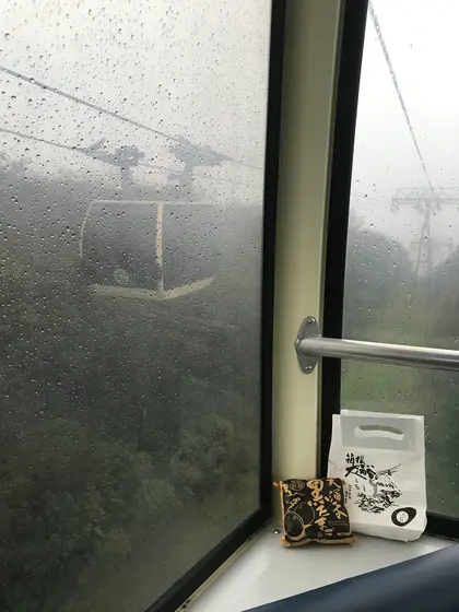 雨の中買いに行った黒たまご