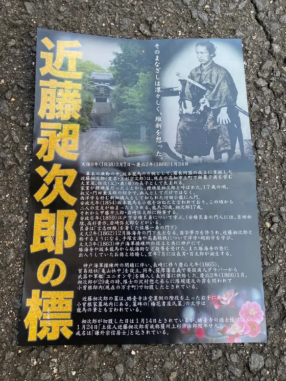 チラシ
