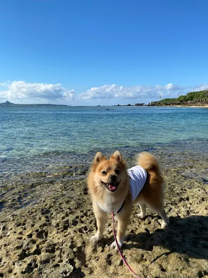 並木終点