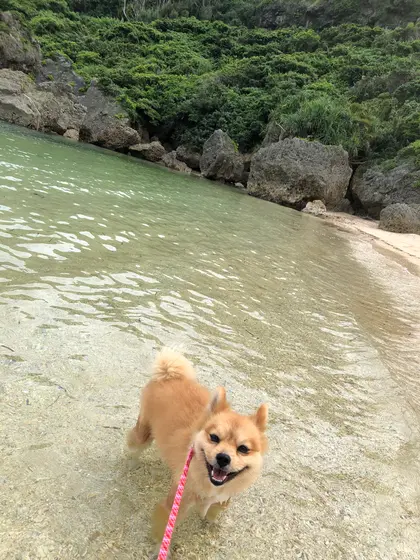 気持ちぃー🎵