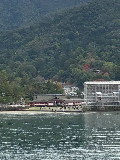 大鳥居に接近するフェリー