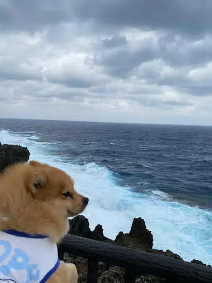 岬の先っぽ