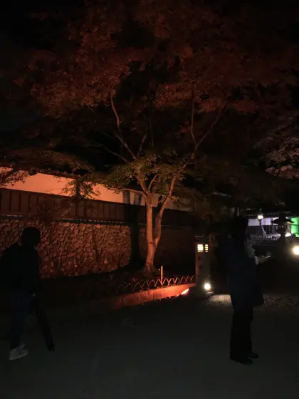 スポット内のおすすめ